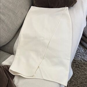 Cuyana Pencil Skirt